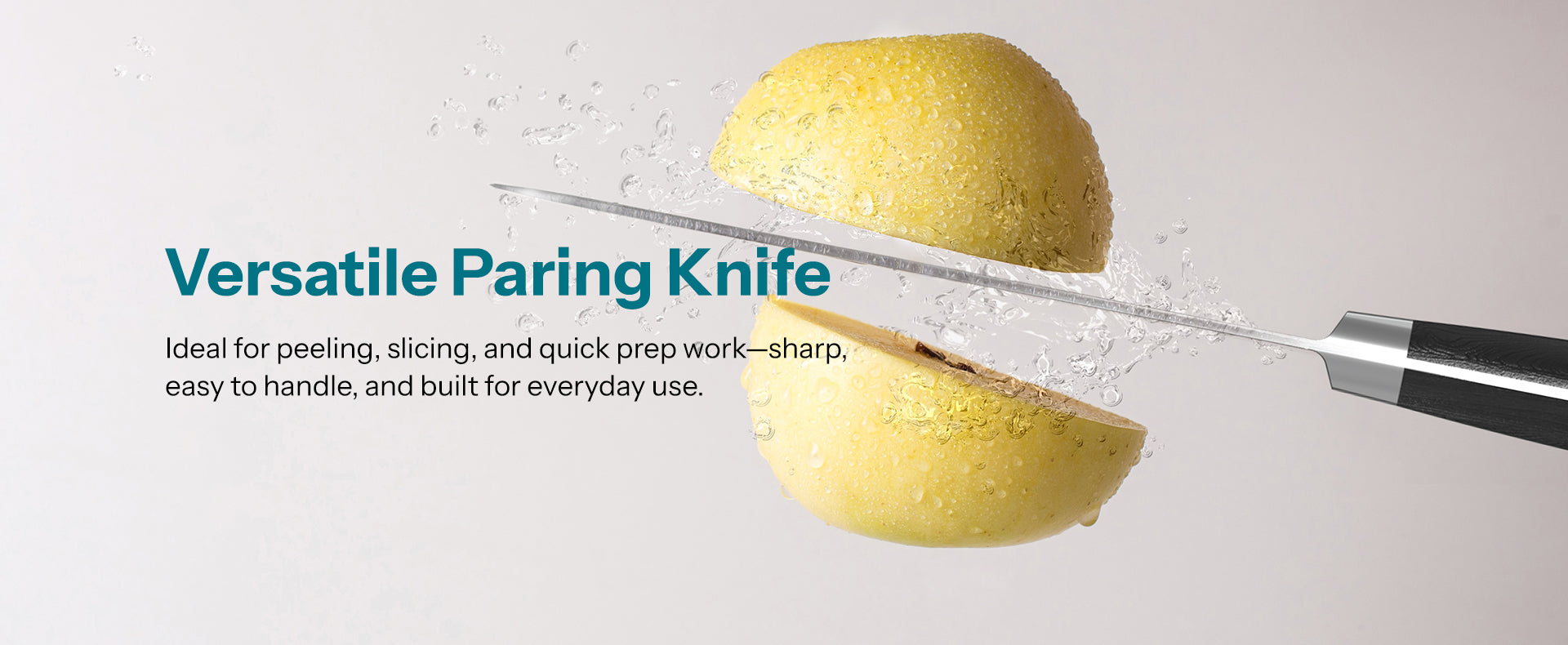 Paring Knife banner2