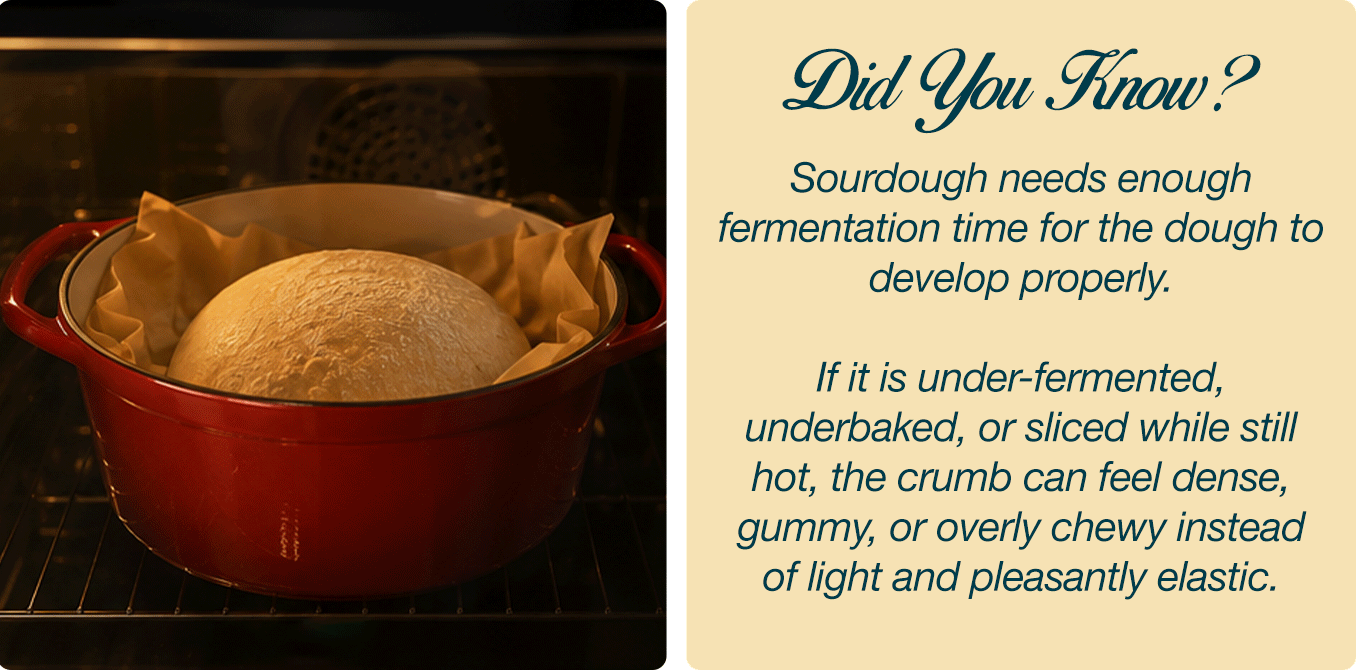 How To Avoid Dense, Gummy Or Chewy Sourdough Bread 🍞