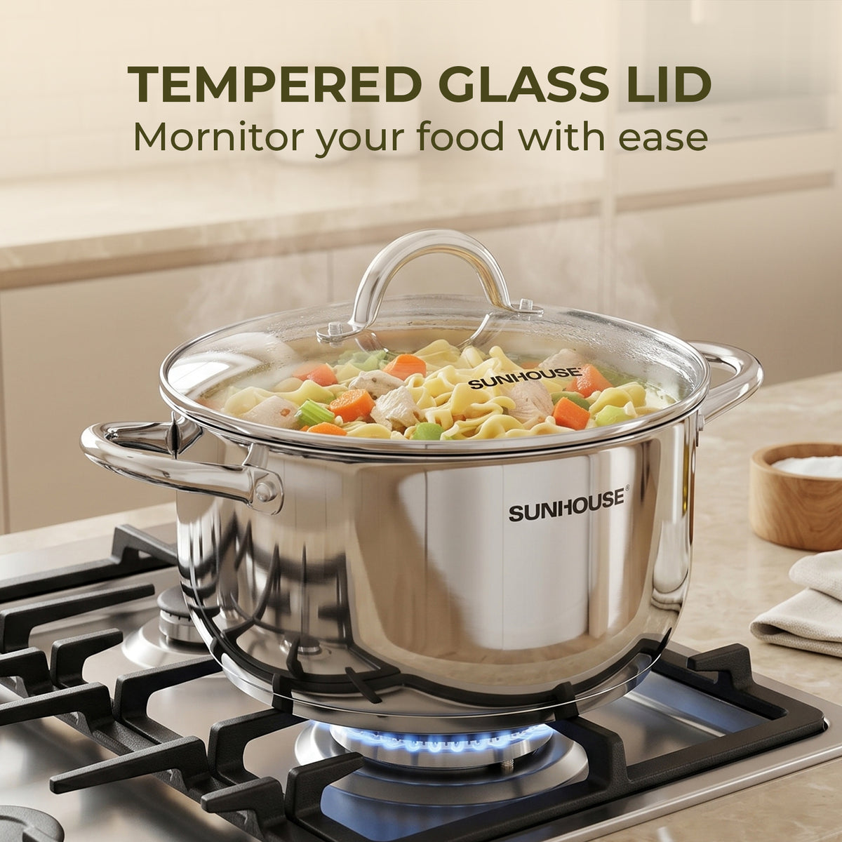 Stainless Steel Stock Pot With Lid