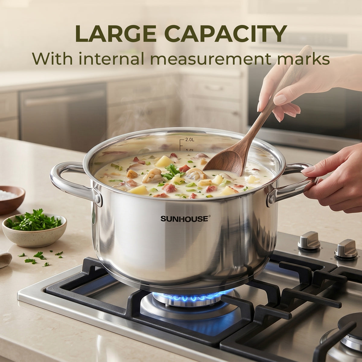 Stainless Steel Stock Pot With Lid