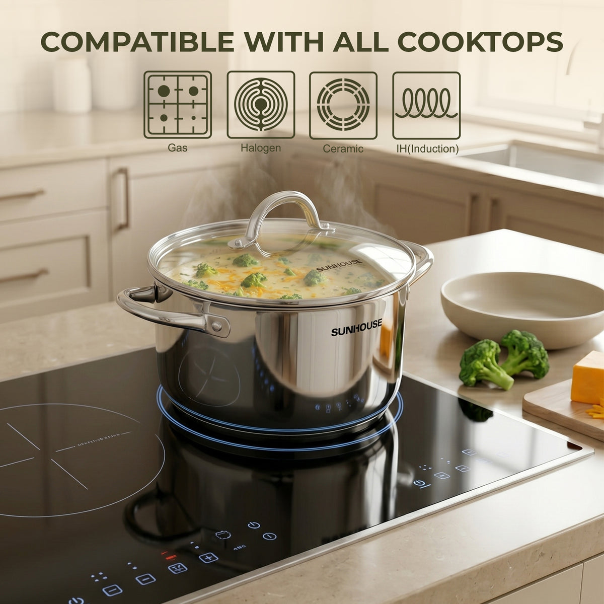 Stainless Steel Stock Pot With Lid