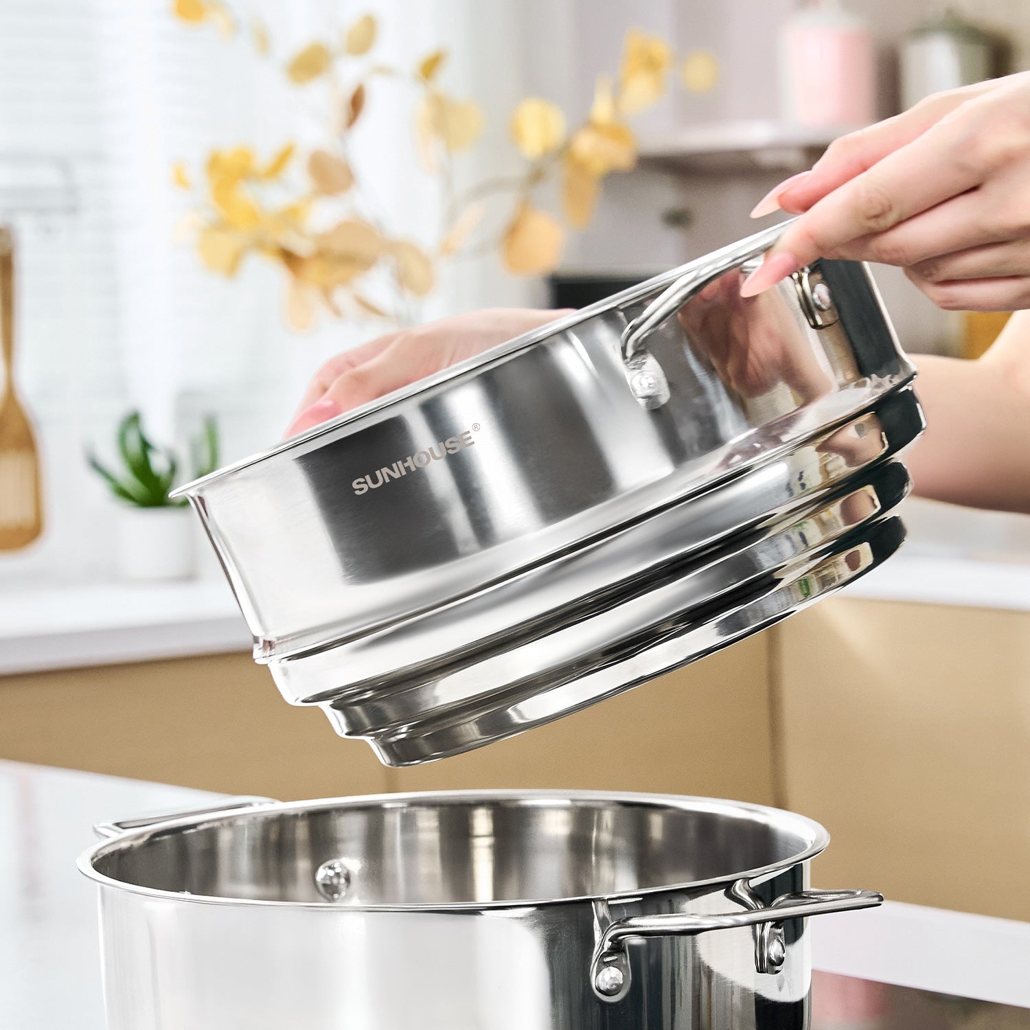  Basic Steam & Simmer Duo 04