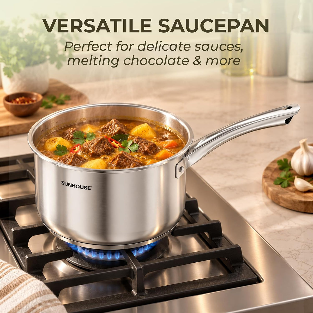 Stainless Steel SaucePan with Steamer Insert AM508-20