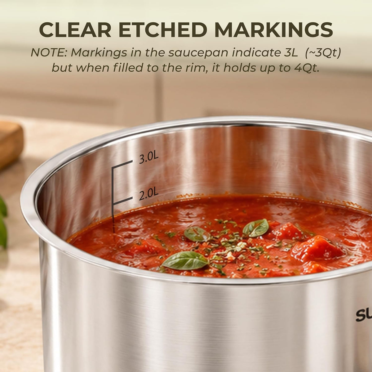 Stainless Steel SaucePan with Steamer Insert AM508-20